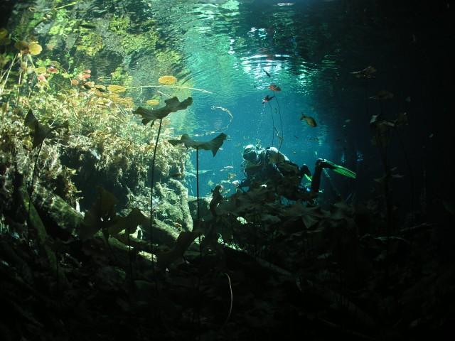 beabito 261.jpg